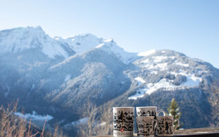 Náhled objektu CH1883.400, Gryon / Barboleusaz, Villars, Les Diablerets, Szwajcaria