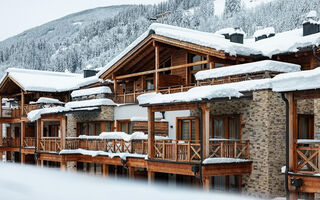 Náhled objektu DAS Neukirchen - Wildkogel Resorts, Neukirchen am Grossvenediger, Oberpinzgau, Austria