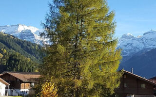 Náhled objektu Oberriedstrasse 5, Lenk im Simmental, Adelboden - Lenk, Szwajcaria